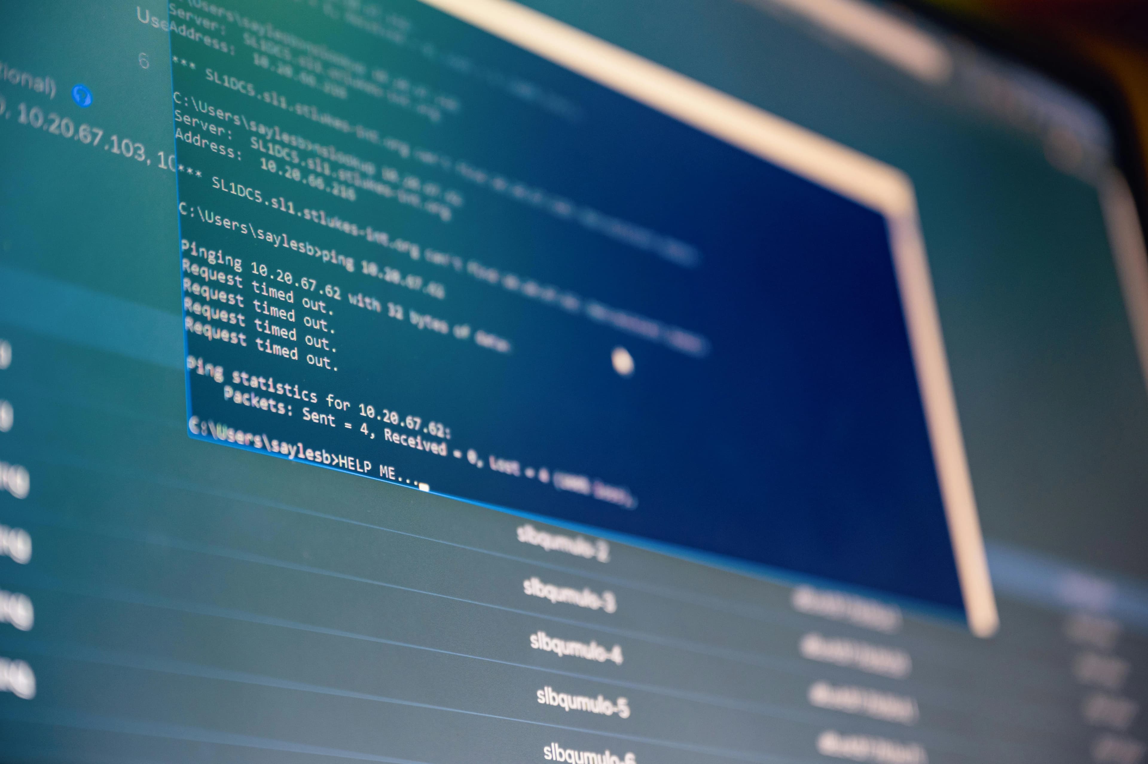 Web Development